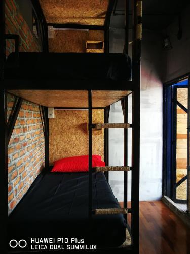 THE BUNK BACKPACKERS HOSTEL by fleur