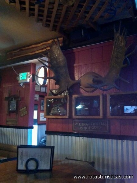 Buffalo Bar & Grill